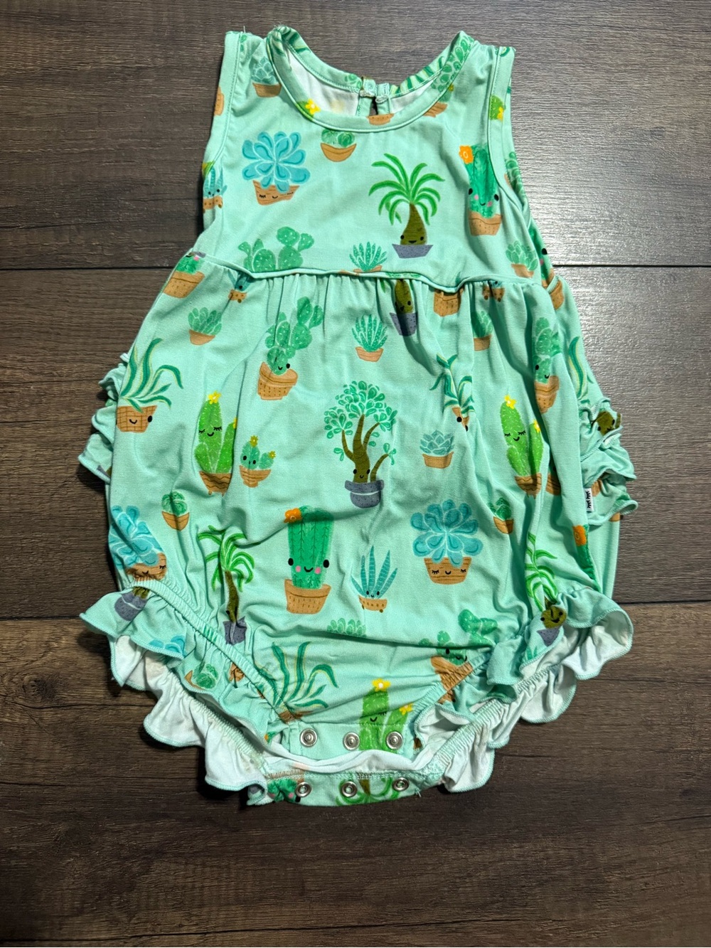 Little Sleepies Succulent Love 2t bubble romper